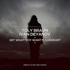 Toly Braun - What You Want (Original Mix) Ringtone