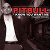 Pitbull - I Know You Want Me 2009 Ringtone