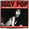 Iggy Pop - I Wanna Be Your Dog Ringtone