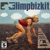 Limp Bizkit - Ready To Go Ringtone