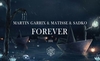 Martin Garrix X Matisse & Sadko - Forever Ringtone