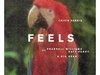 Calvin Harris - Feels Ringtone