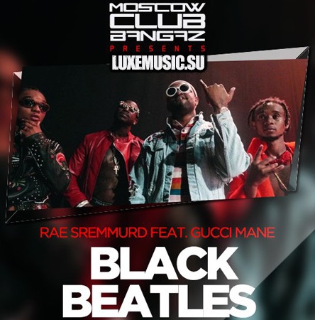 Black Beatles Download free