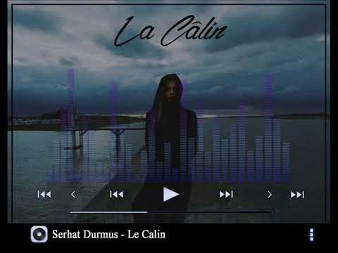 Le Calin Download free