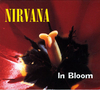 Nirvana - In Bloom Ringtone