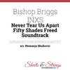 Bishop Briggs - Never Tear Us Apart Ringtone