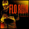 Flo Rida - Wild Ones Ringtone