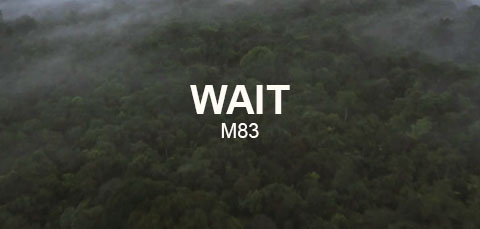 Wait Download free