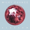 Milky Chance - Blossom Ringtone