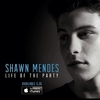 Shawn Mendes - When You're Ready Ringtone