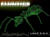 Rammstein - Links 2 3 4 Ringtone