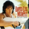 David Lee Murphy & Kenny Chesney - Everything's Gonna Be Alright Ringtone