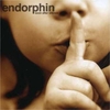 Endorphin - Soon After Silence Ringtone