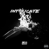 ZHU - Intoxicate Intoxicate Ringtone