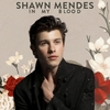 Shawn Mendes - In My Blood Ringtone