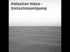 Falscher Hase - Entschleunigung Ringtone