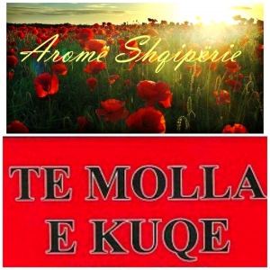 Te Molla Download free