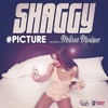 Shaggy Feat. Melissa Musique - #Picture Ringtone