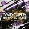 David Guetta - The World Is Mine Ringtone