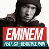 Eminem - Beautiful Pain Ringtone