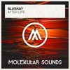 BluSkay - After Life Ringtone