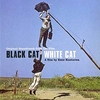 VA 'Black Cat White Cat' - Tree Stump Ringtone