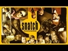 Snatch - Golden Brown Ringtone