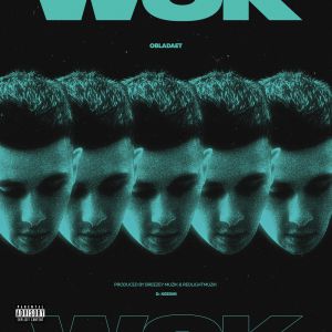 WOK Download free