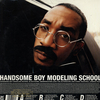 Handsome Boy Modeling School - The Truth Ringtone