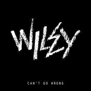 Can't Go Wrong Download free