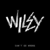 Wiley - Can't Go Wrong Ringtone