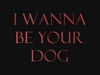 Various Artists - I Wanna Be Your Dog Ringtone