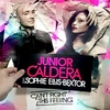 Sophie Ellis-Bextor Feat. Junior Caldera - Cant Fight This Feeling Ringtone