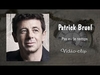 Patrick Bruel - Pas Eu Le Temps Ringtone