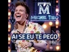 Michel Telo - Ai Se Eu Te Pego Ringtone