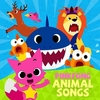 PINKFONG - Baby Shark Ringtone