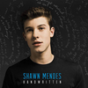 Shawn Mendes - Aftertaste Ringtone