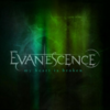 Evanescence - My Heart Is Broken Ringtone