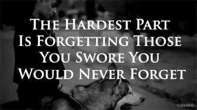 The Hardest Part Is Forgetting Those You Swore You Would Never Forget Download free