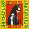 Skip Marley Feat. Damian 'Jr. Gong' Marley - That's Not True Ringtone