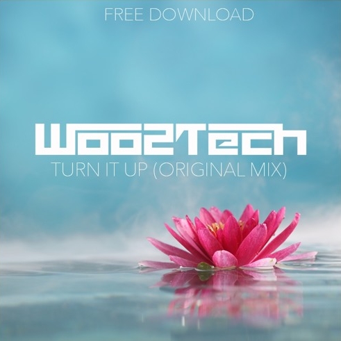 Turn It Up (Original Mix) Download free