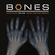 Bones Theme Download Ringtone