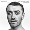 Sam Smith - Too Good At Goodbyes Ringtone