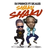 DJ Prince & Skales - Shaku Shaku Ringtone