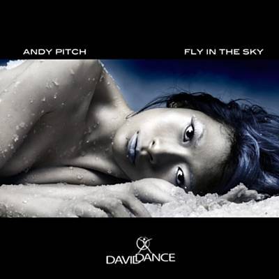 Fly In The Sky Download free