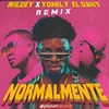 Wildey & Yomil Y El Dany - Normalmente (Remix) Ringtone