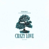 Future Animals - Crazy Love Ringtone