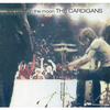 The Cardigans - Lovefool Ringtone