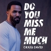 Craig David - Do You Miss Me Much Ringtone