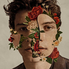 Shawn Mendes - Lost In Japan (Live) Ringtone